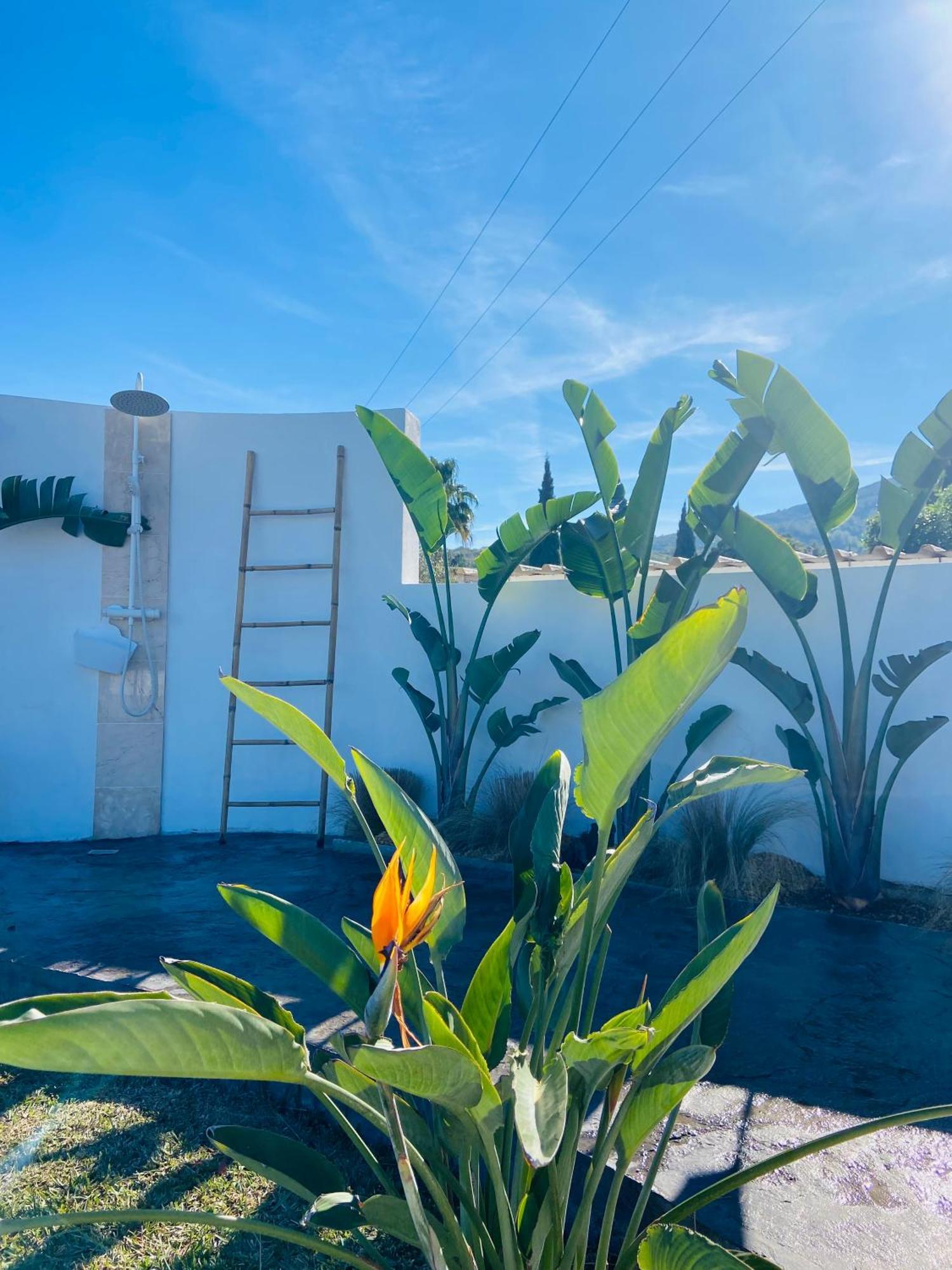 Casa Avellana Βίλα Denia Εξωτερικό φωτογραφία