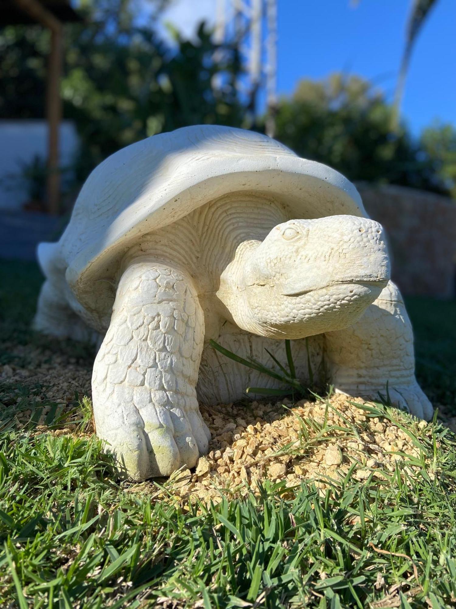 Casa Avellana Βίλα Denia Εξωτερικό φωτογραφία